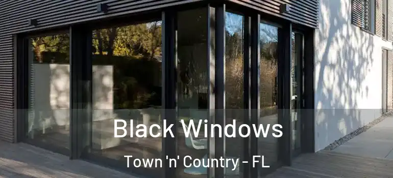  Black Windows Town 'n' Country - FL