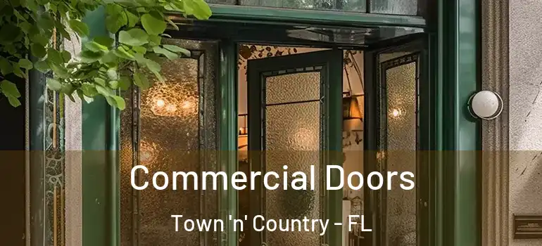  Commercial Doors Town 'n' Country - FL