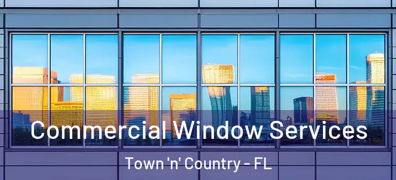  Commercial Window Services Town 'n' Country - FL