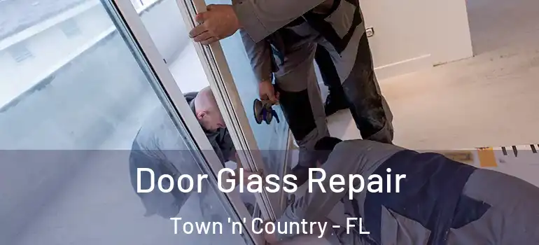  Door Glass Repair Town 'n' Country - FL