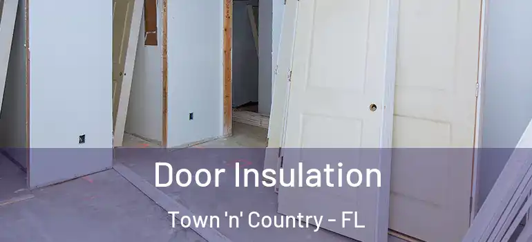  Door Insulation Town 'n' Country - FL