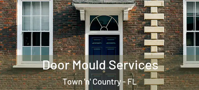  Door Mould Services Town 'n' Country - FL