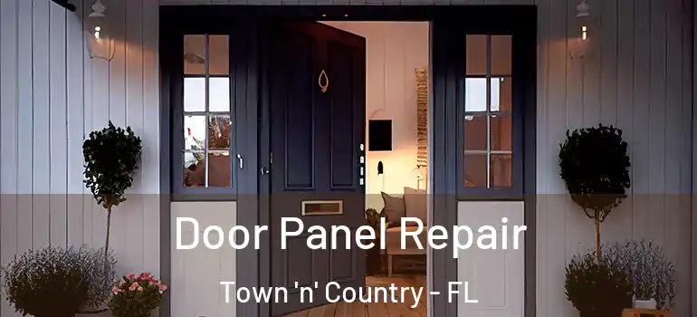  Door Panel Repair Town 'n' Country - FL