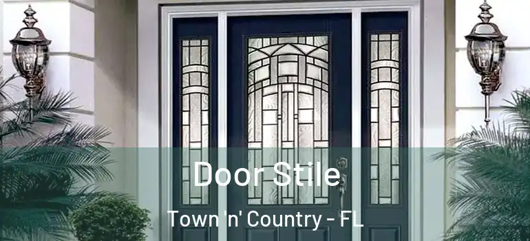  Door Stile Town 'n' Country - FL