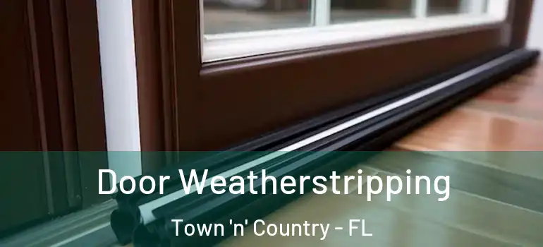  Door Weatherstripping Town 'n' Country - FL