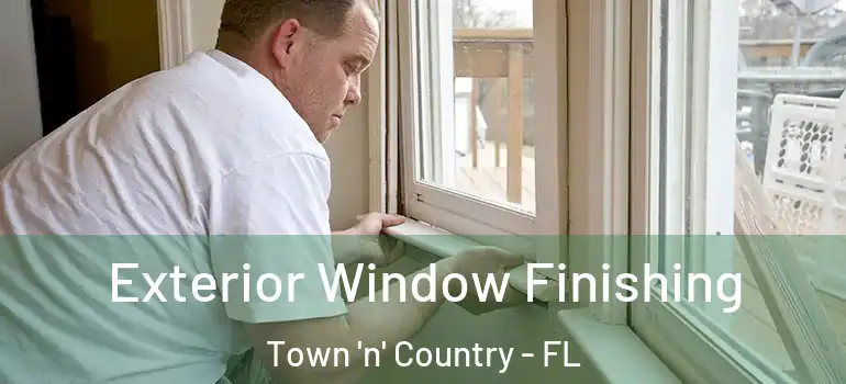  Exterior Window Finishing Town 'n' Country - FL