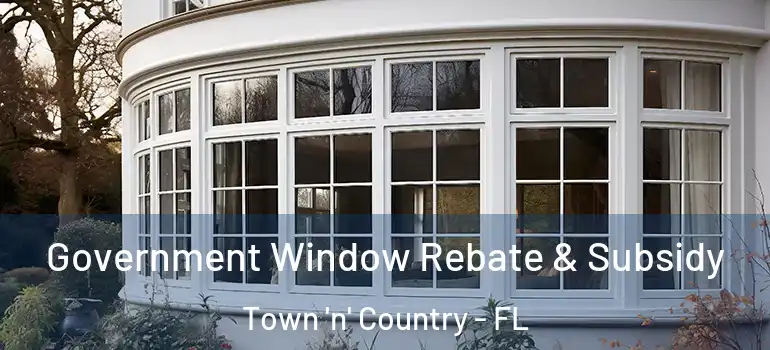 Government Window Rebate & Subsidy Town 'n' Country - FL