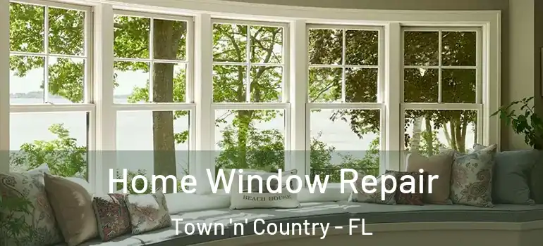  Home Window Repair Town 'n' Country - FL