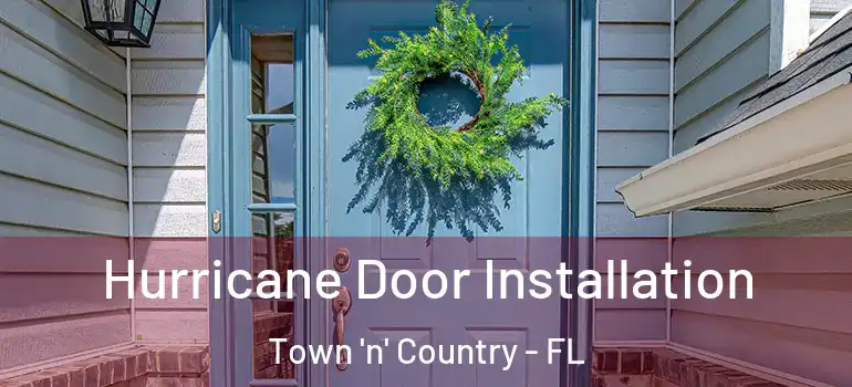  Hurricane Door Installation Town 'n' Country - FL