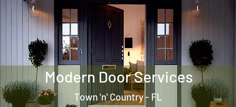  Modern Door Services Town 'n' Country - FL