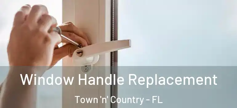 Window Handle Replacement Town 'n' Country - FL
