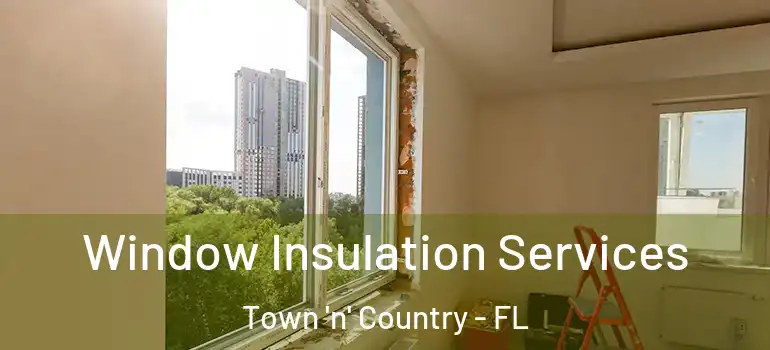 Window Insulation Services Town 'n' Country - FL
