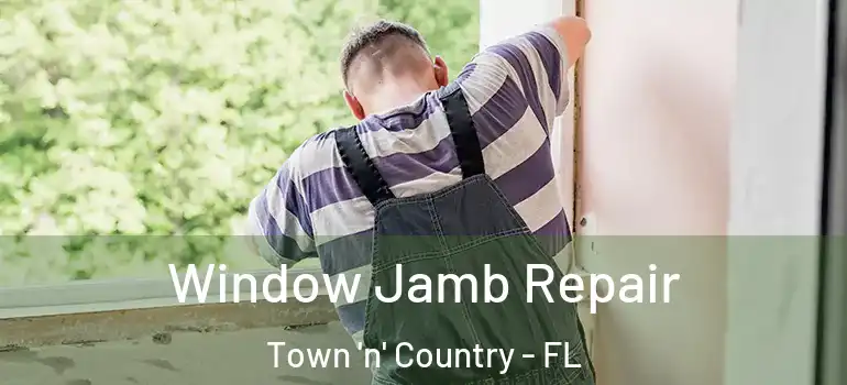  Window Jamb Repair Town 'n' Country - FL